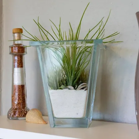 Franziska Apartmán *